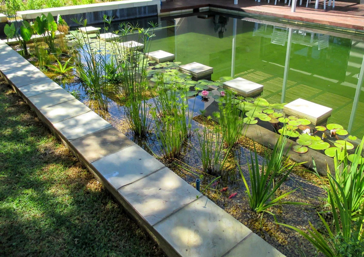 Muisvoel Rd Durbanville natural swimming pool